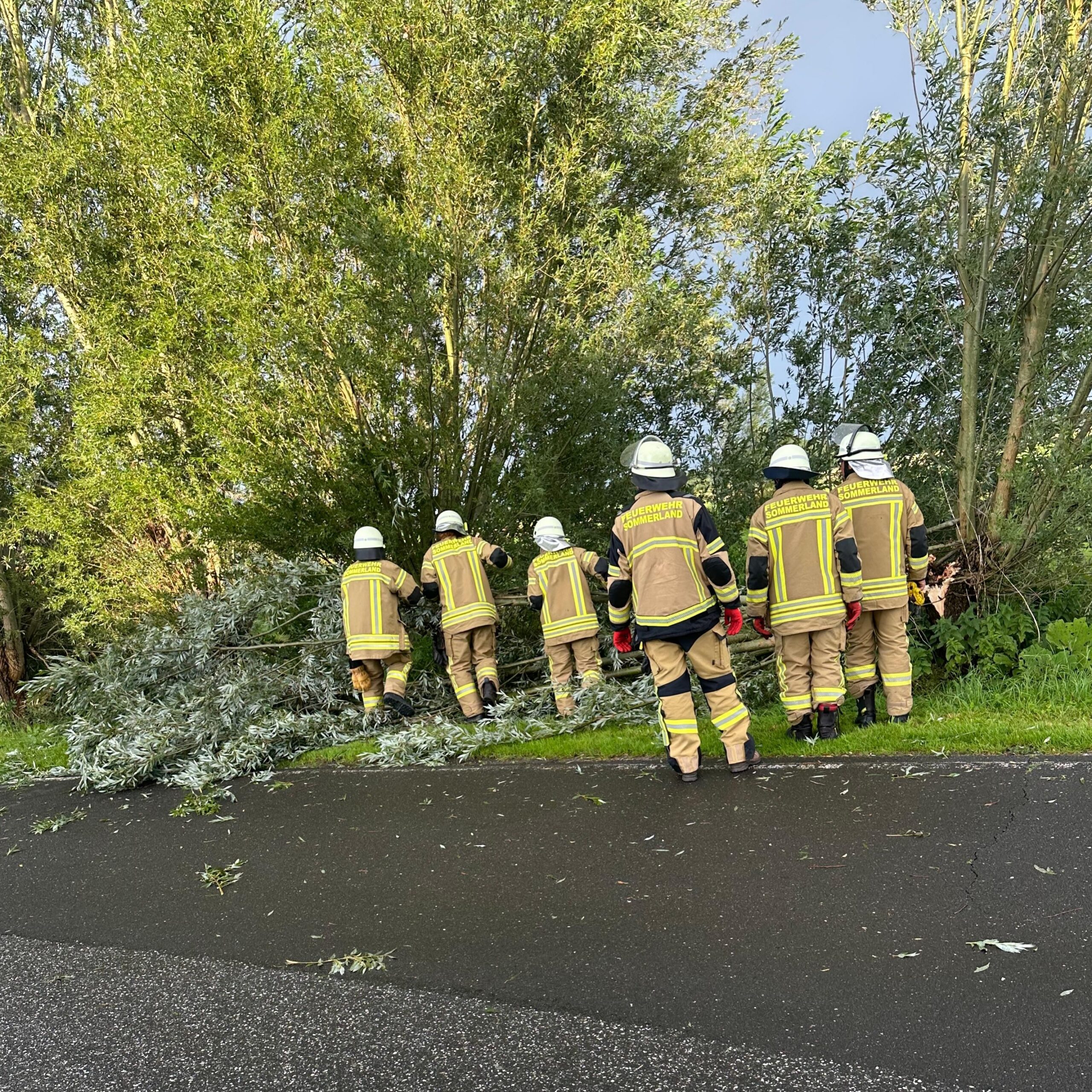 Schäden nach Unwetter